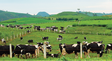 “Mộc[-]Châu[-]Milk”[-]chính[-]thức[-]trở[-]thành[-]một[-]đơn[-]vị[-]thành[-]viên[-]của[-]Vinamilk